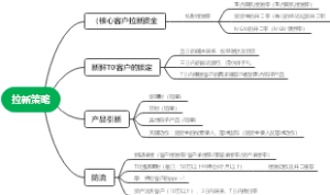 拉新策略