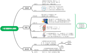 上皮细胞特化结构