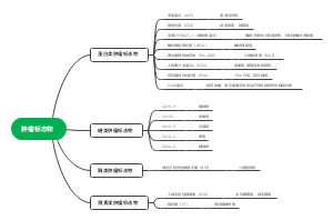 肿瘤标志物