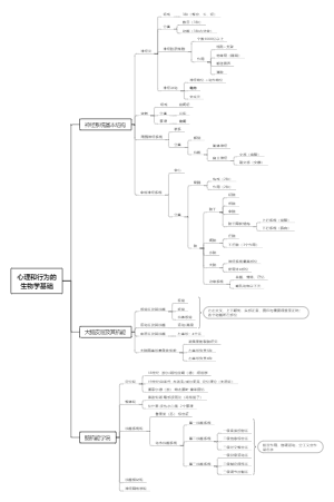 心理学考研312普通心理学 第二章 心理和行为的生物学基础