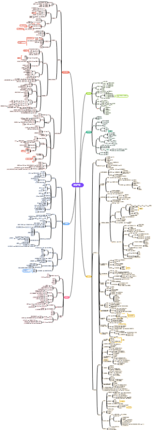 中级烟草专卖管理师四级-案件审理（第2版）
