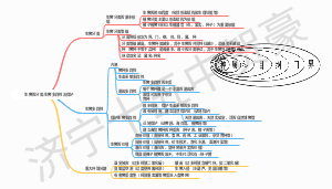 初中生物-生物的分类-生物多样性及保护