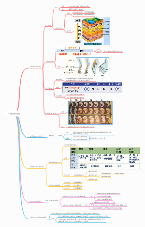 八下 生物 生物进化的历程