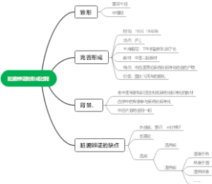 脏腑辨证的形成过程