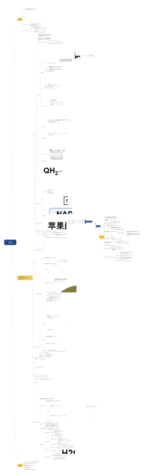 生物氧化