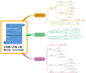 外研版九年级上册Module 10 Australia