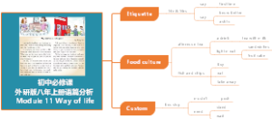 初中必修课外研版八年上册Module 11 Way of llife