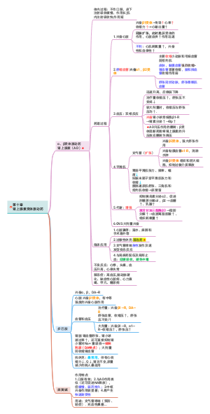 肾上腺素受体激动药