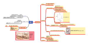 口腔组织病理学牙骨质