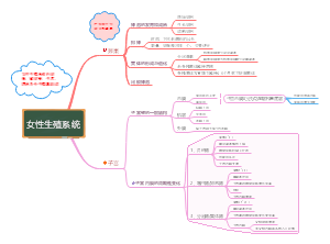 女性生殖系统思维导图