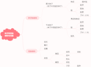种子和花的结构与功能