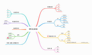 常考语法梳理