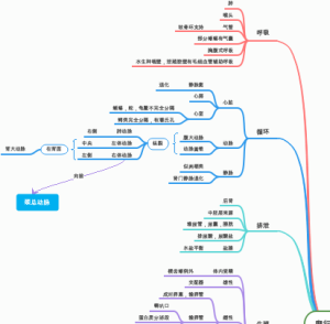 爬行纲主要特征