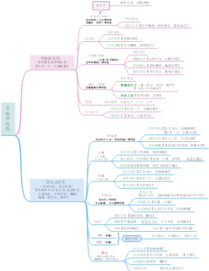 平肝熄风药