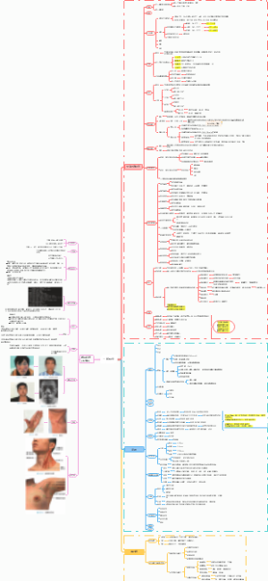 诊断学 一般检查