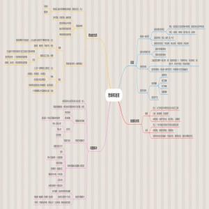 思维和语言思维导图