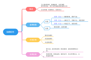 21治痈疡剂