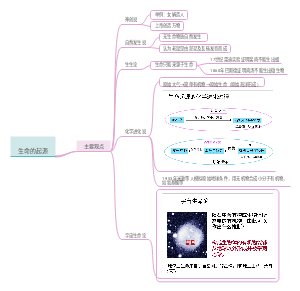 生物八年级下《生命的起源》
