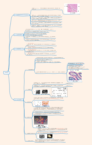 组织学绪论