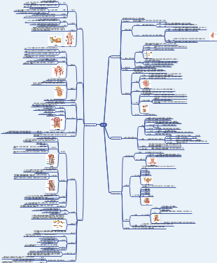 思维导图社区-搜索思维导图-肌肉
