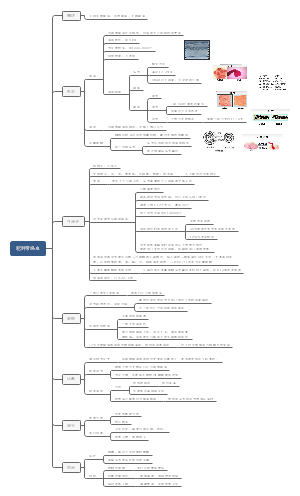 曼氏迭宫绦虫思维导图图片