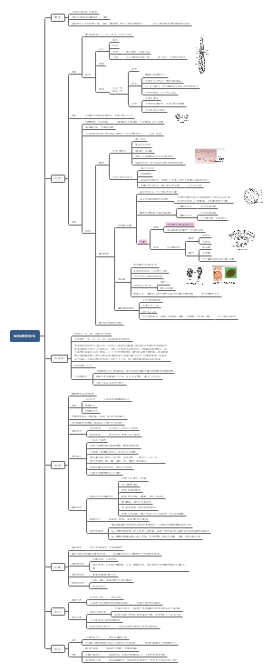 寄生虫思维导图内容图片