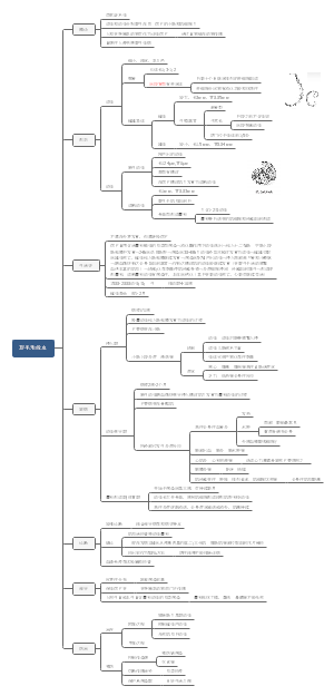 人体寄生虫学—医学蠕虫学线虫纲——旋毛形线虫