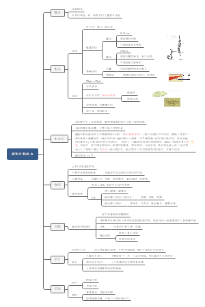 人体寄生虫学——医学蠕虫学线虫纲——蠕形住肠线虫