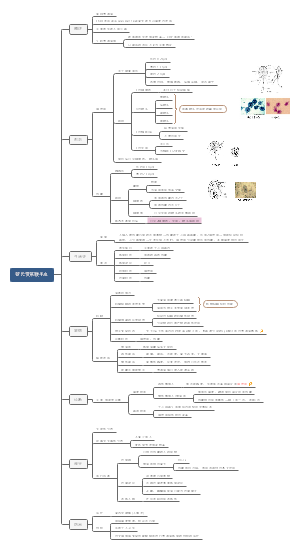 人体寄生虫学——蓝氏贾第鞭毛虫