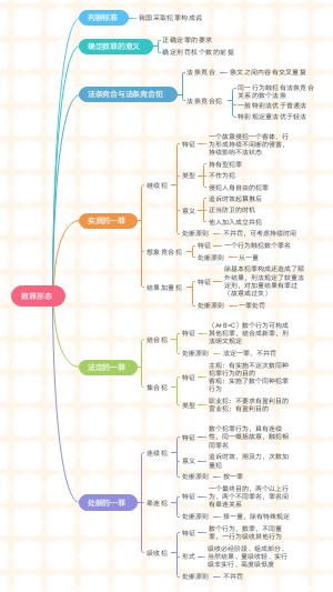 数罪形态