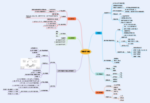 染色体与DNA