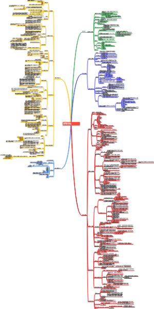 认识顾客CONSUMERBEHAVIOR BUILDING