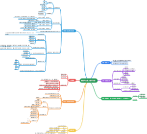 美容产品线上推广计划