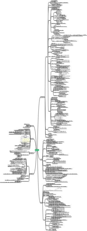SQL基础