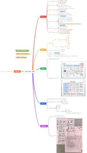 幼升小规划（暑假）