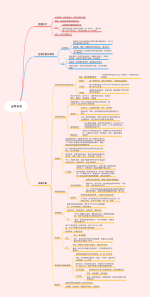 影像学（泌尿系统）