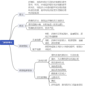 病理学  门脉性肝硬化
