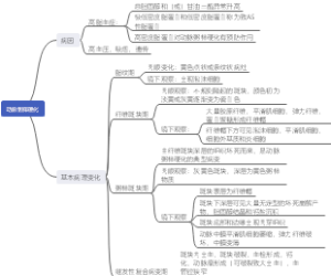 病理学  动脉粥样硬化