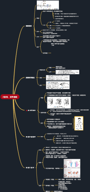 上肢骨损伤1