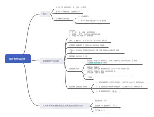生物化学——脂肪的合成代谢
