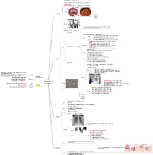 医学影像诊断学——膈肌病变