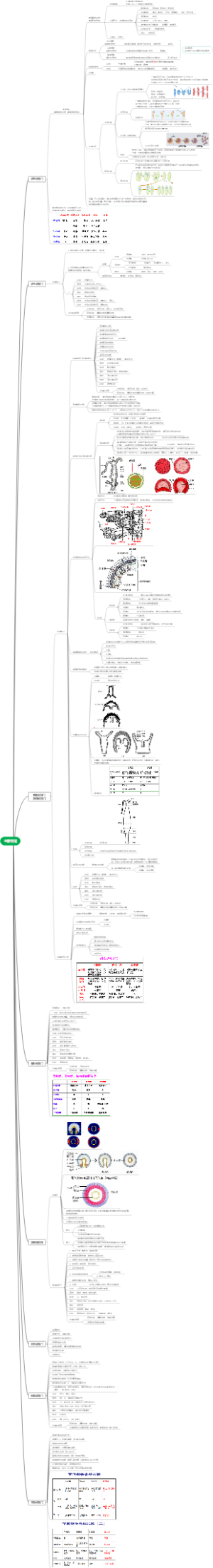 【普通动物学】无脊椎动物主要特征