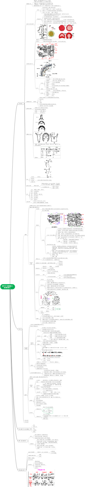 【普通动物学】第三章 刺胞动物门（腔肠动物门）