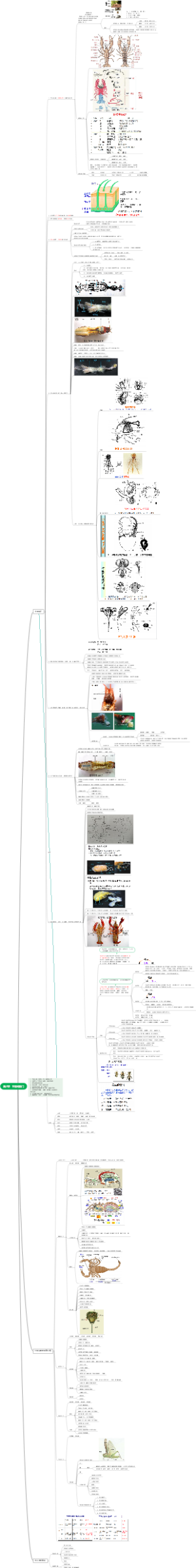 第八章 节肢动物门