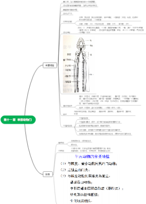 第十一章 半索动物门