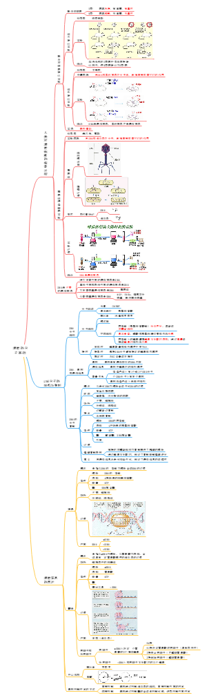 9.遗传的分子基础