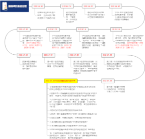 振森项目推进方案