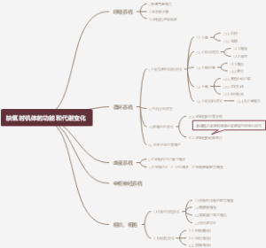 缺氧时机体的功能和代谢变化