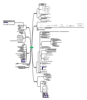 抖音直播营运基础篇全