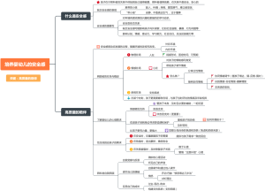 《从出生到独立》思维导图